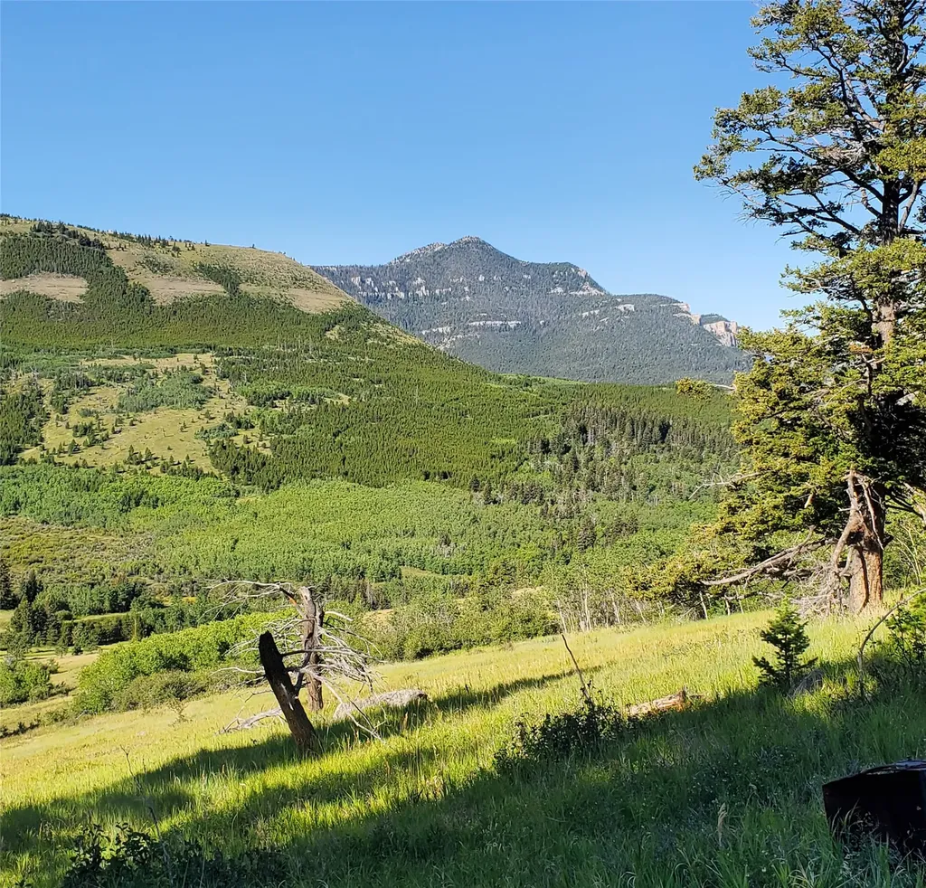 3384 Joslin Creek Road Augusta MT 59410