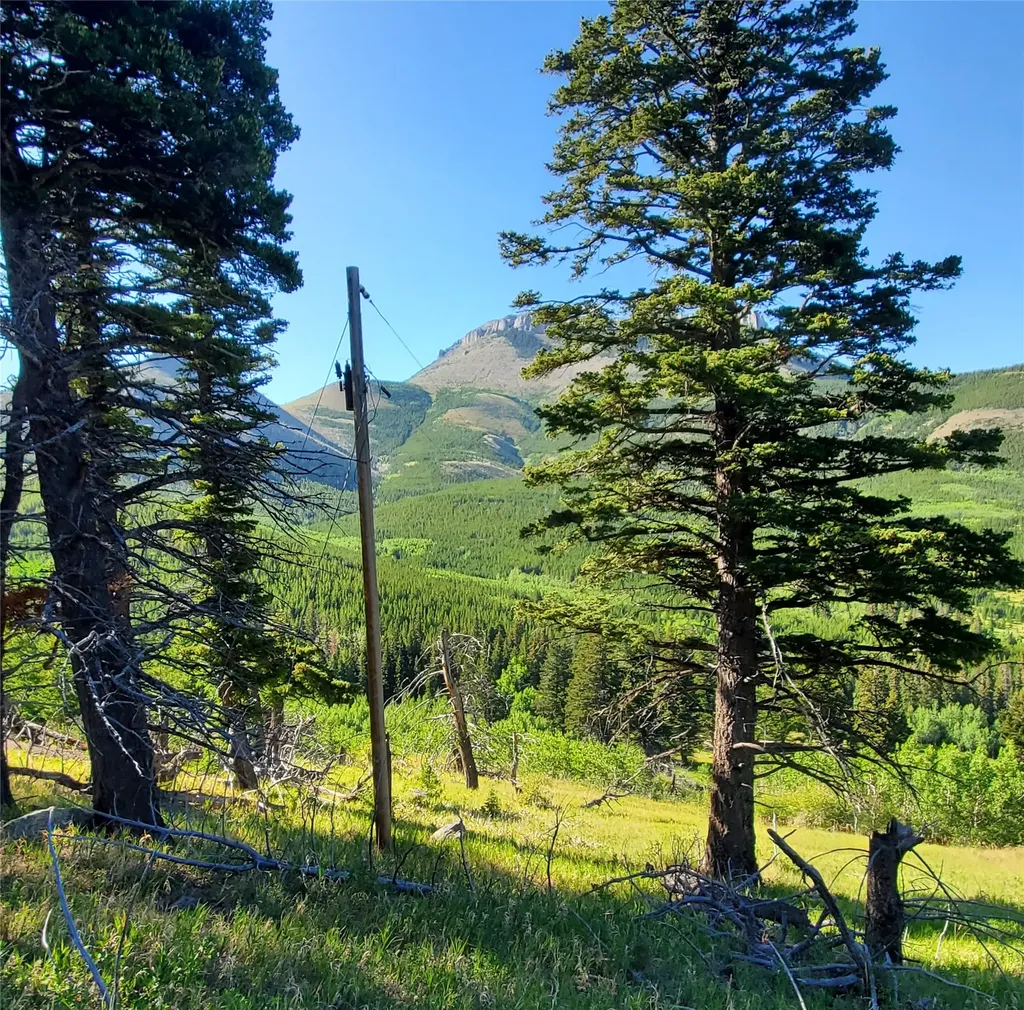 3384 Joslin Creek Road Augusta MT 59410