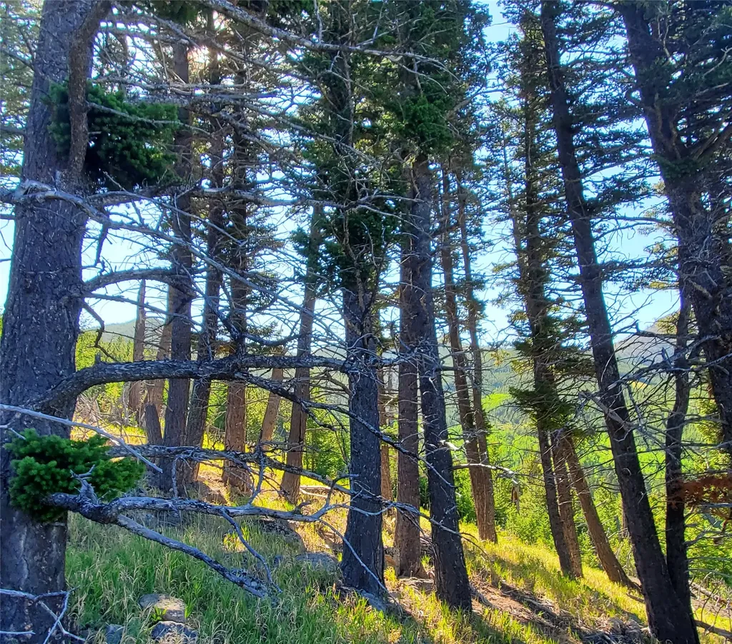 3384 Joslin Creek Road Augusta MT 59410