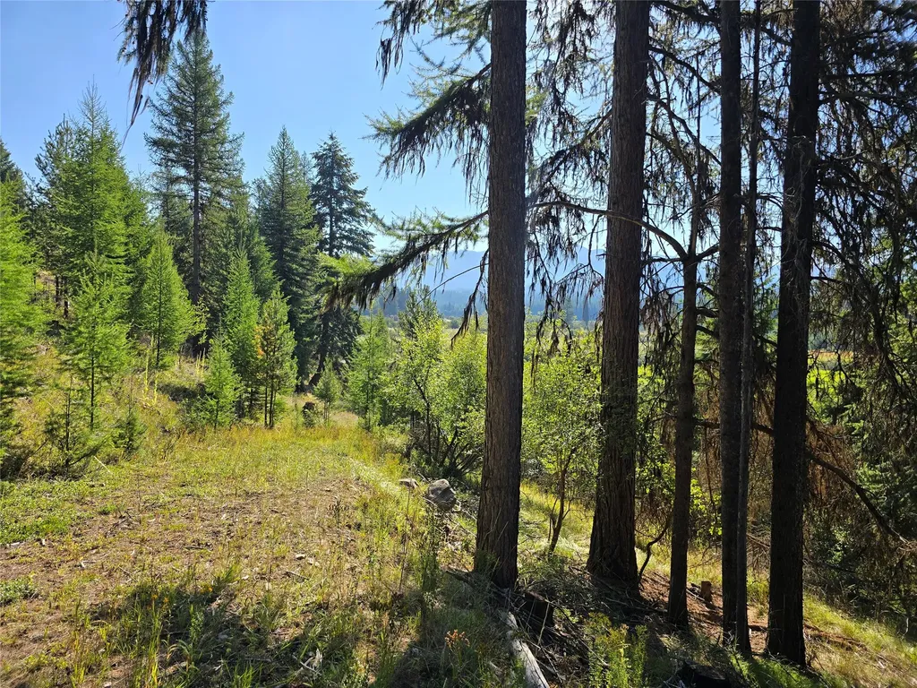29700 Yaak River Road Yaak MT 59935