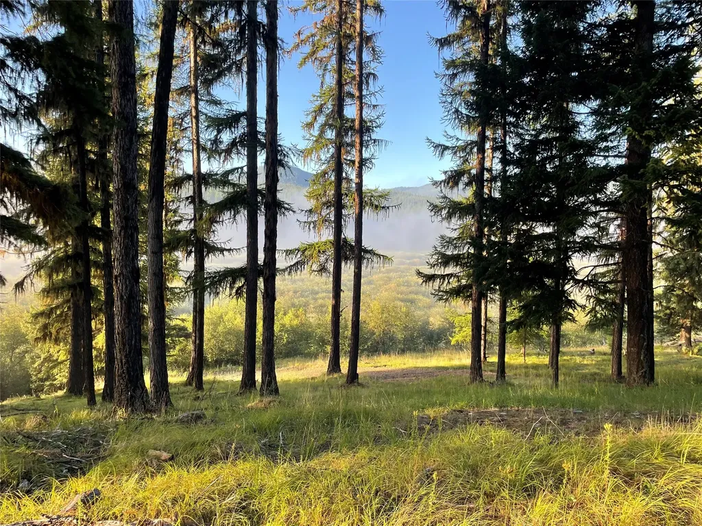 29700 Yaak River Road Yaak MT 59935