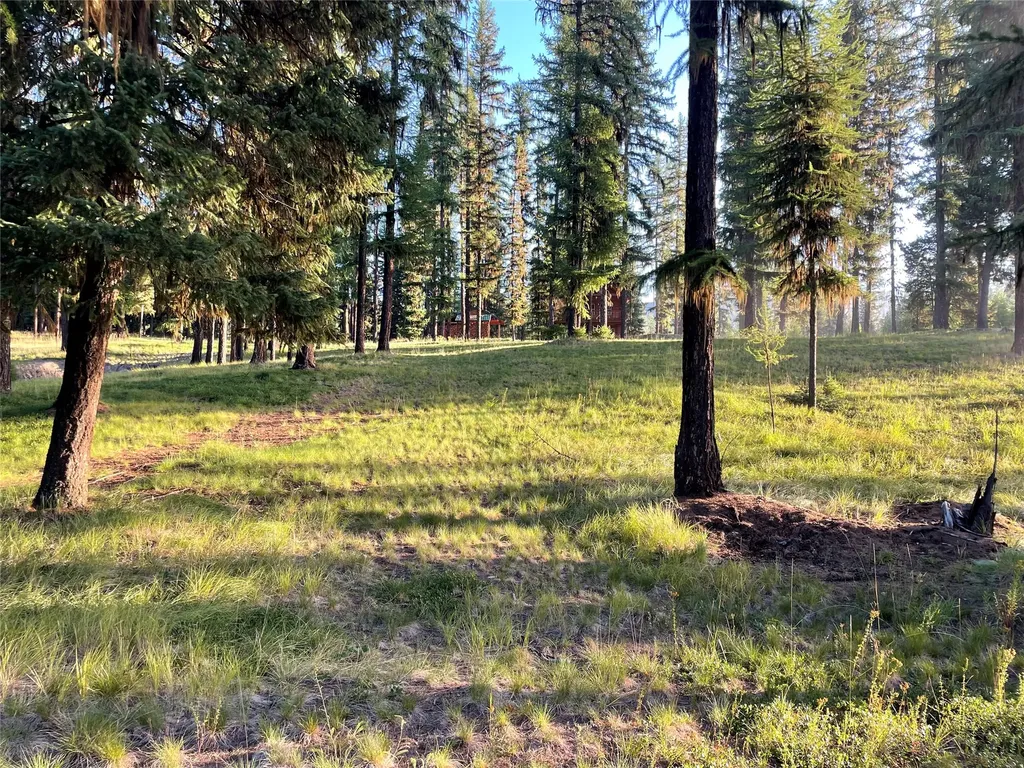 29700 Yaak River Road Yaak MT 59935
