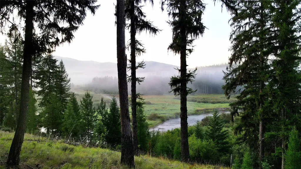 29700 Yaak River Road Yaak MT 59935