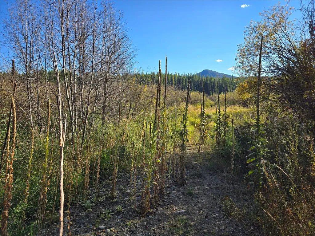 29700 Yaak River Road Yaak MT 59935