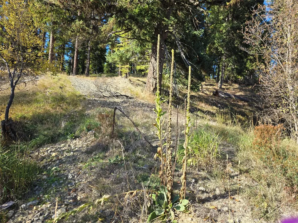 29700 Yaak River Road Yaak MT 59935