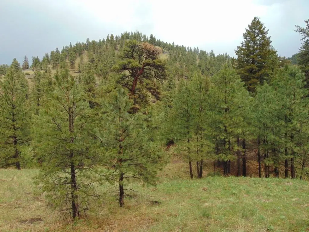 15 Shady Spring Lane Cascade MT 59421