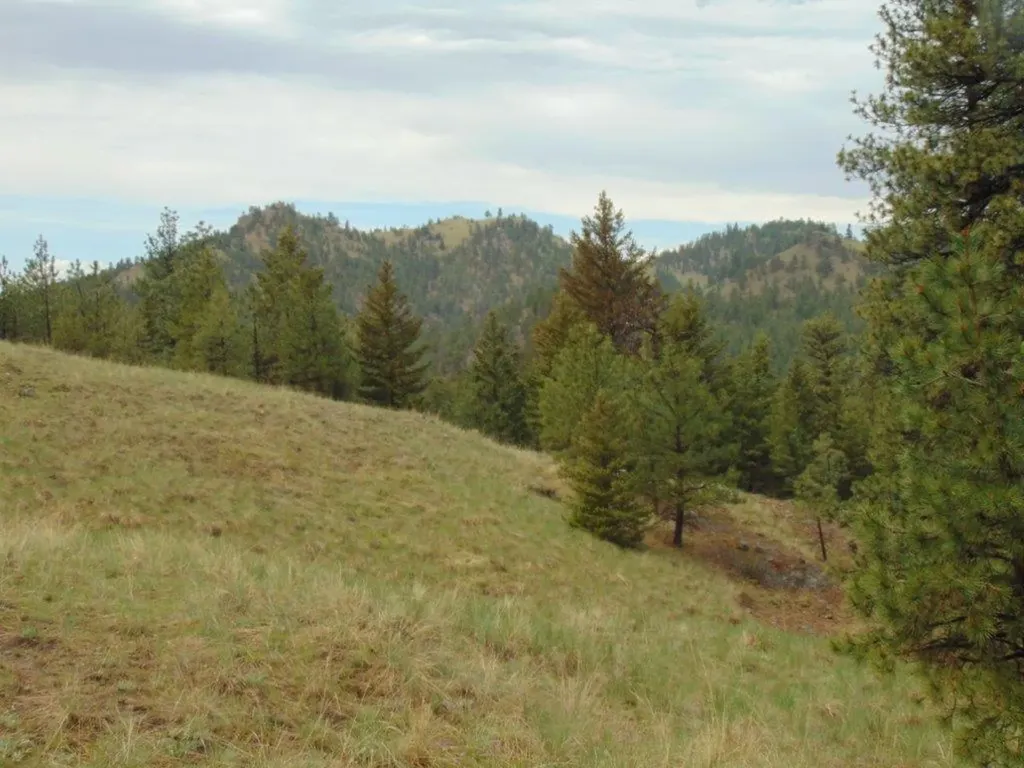 15 Shady Spring Lane Cascade MT 59421