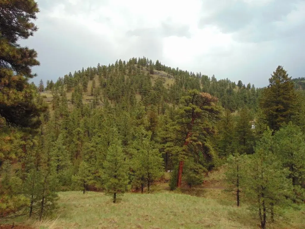 15 Shady Spring Lane Cascade MT 59421
