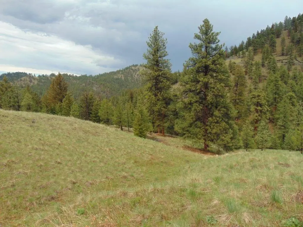 15 Shady Spring Lane Cascade MT 59421