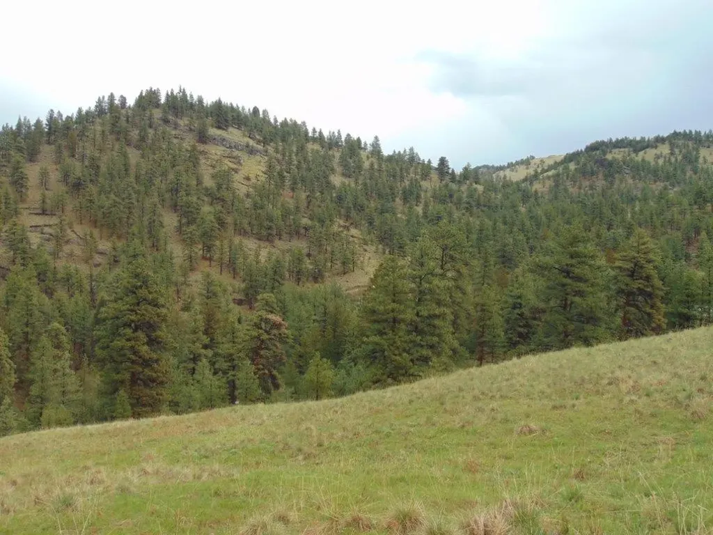 15 Shady Spring Lane Cascade MT 59421