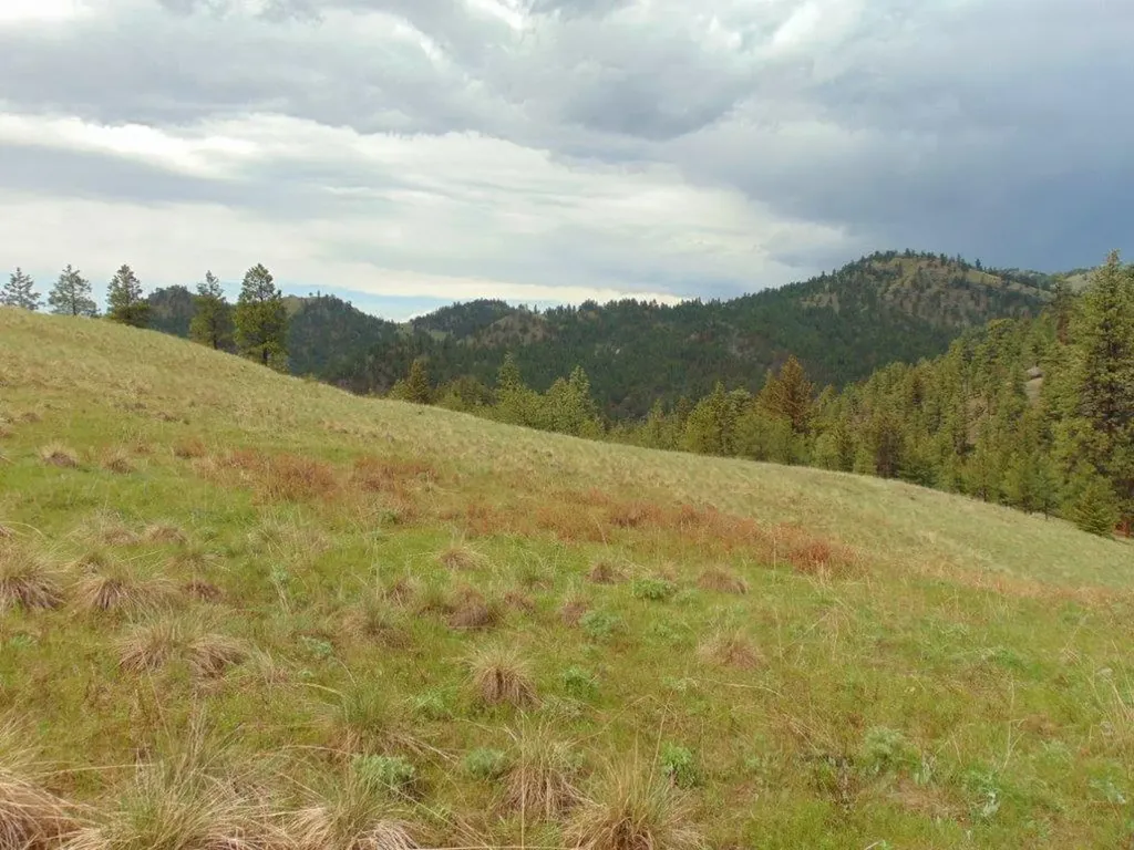 15 Shady Spring Lane Cascade MT 59421