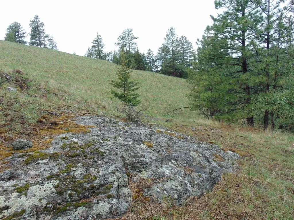 15 Shady Spring Lane Cascade MT 59421