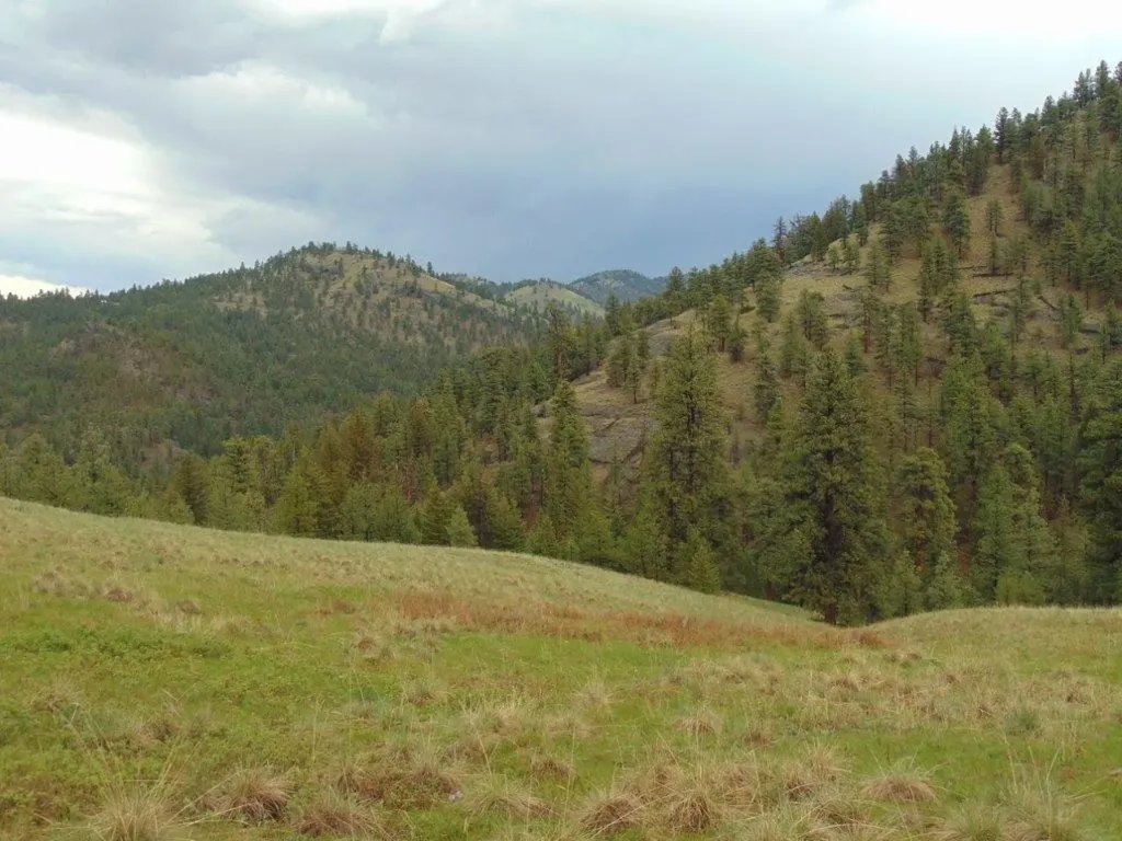15 Shady Spring Lane Cascade MT 59421