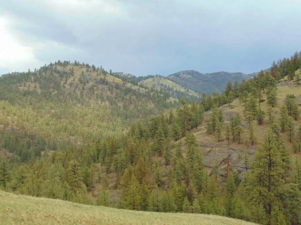 15 Shady Spring Lane Cascade MT 59421