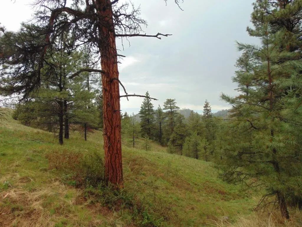 15 Shady Spring Lane Cascade MT 59421
