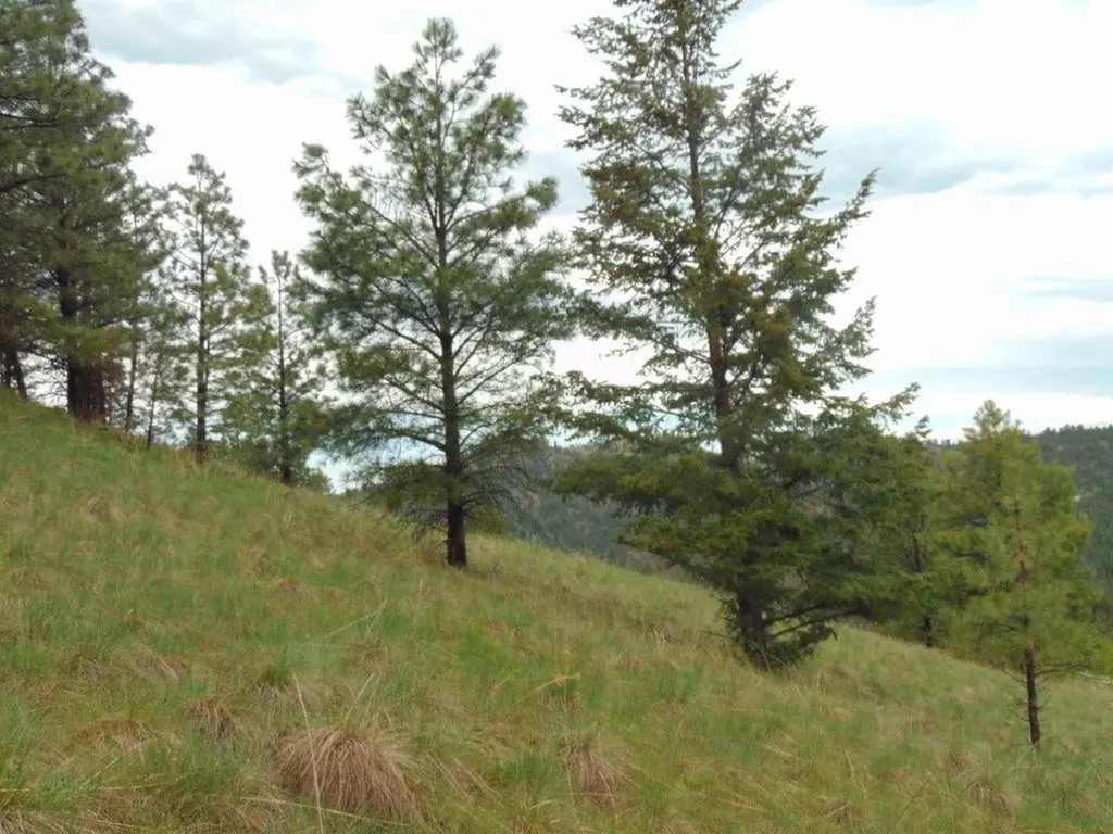 15 Shady Spring Lane Cascade MT 59421