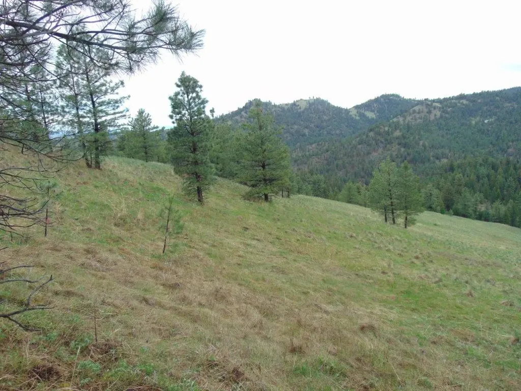 15 Shady Spring Lane Cascade MT 59421