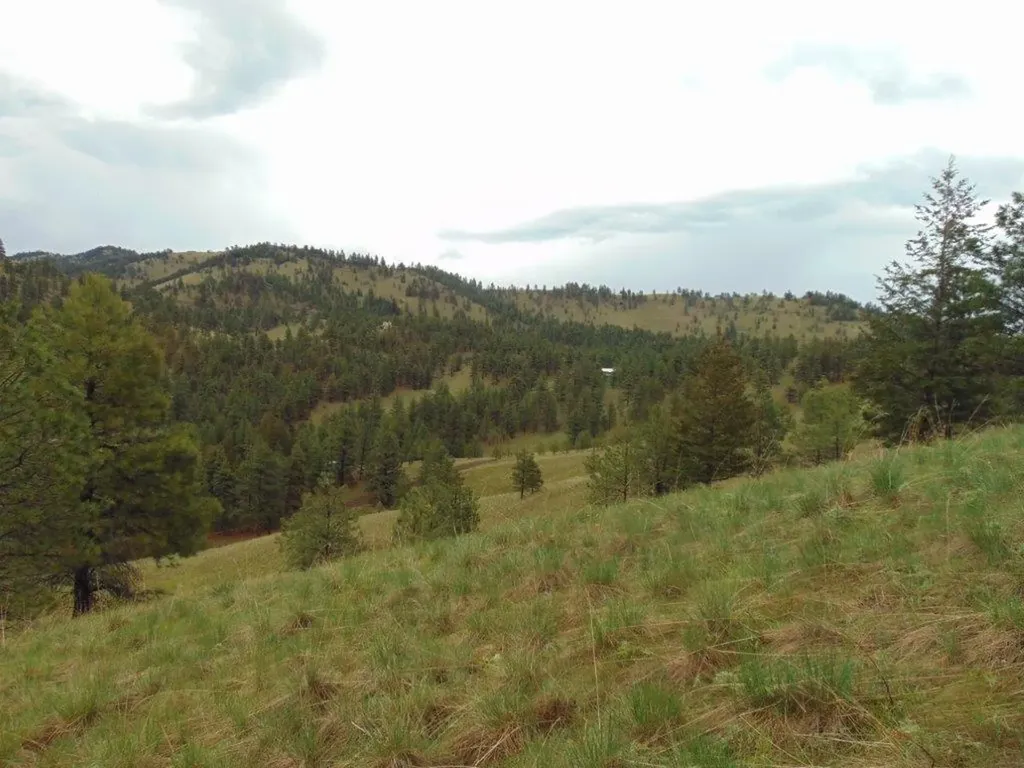 15 Shady Spring Lane Cascade MT 59421