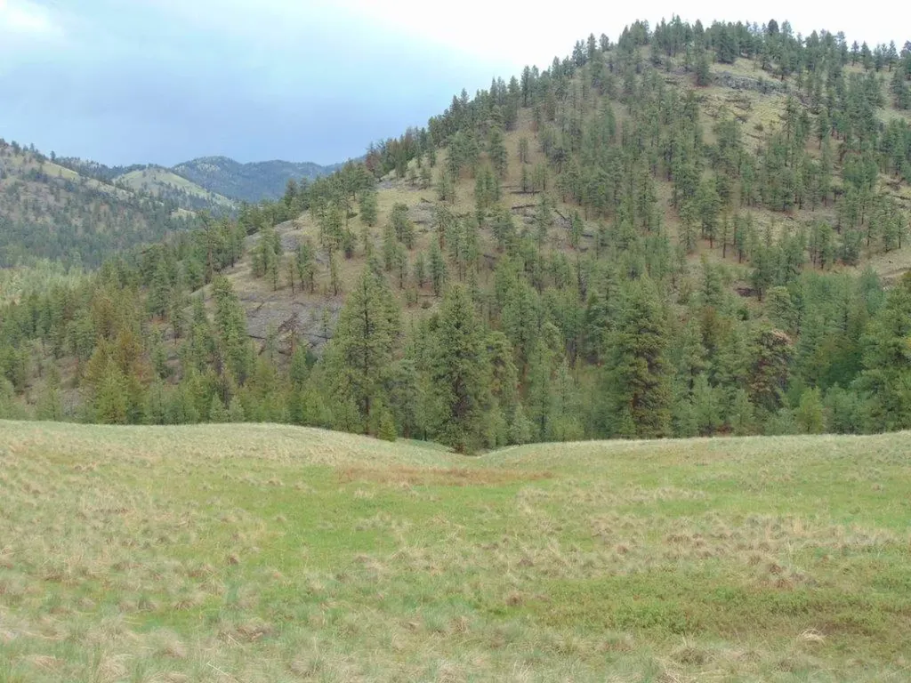 15 Shady Spring Lane Cascade MT 59421