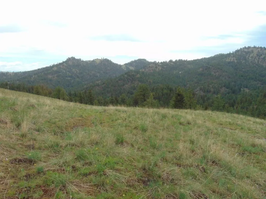 15 Shady Spring Lane Cascade MT 59421