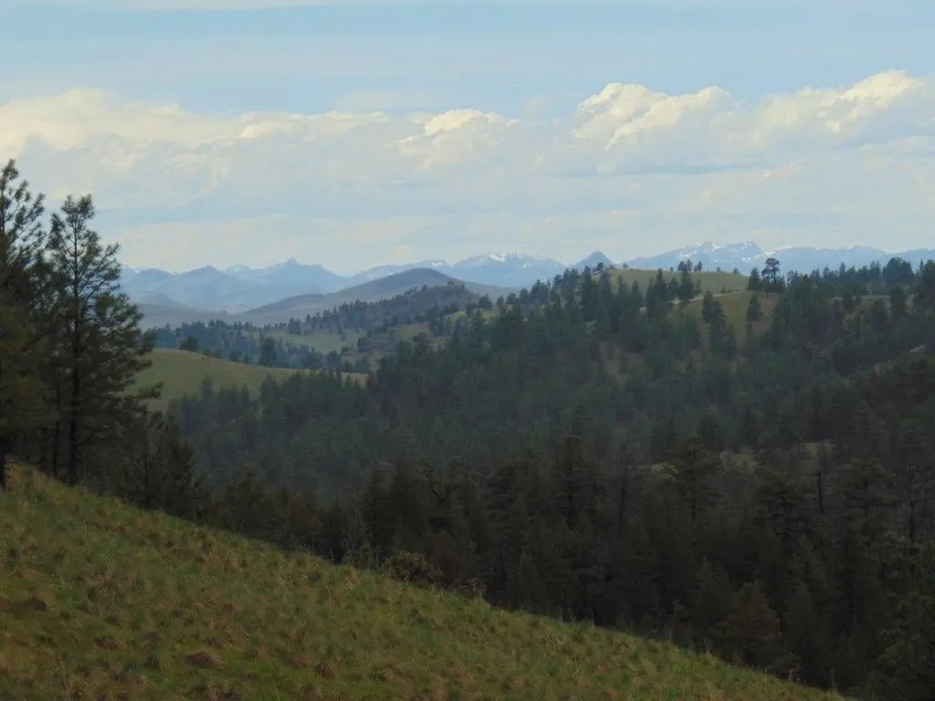 15 Shady Spring Lane Cascade MT 59421