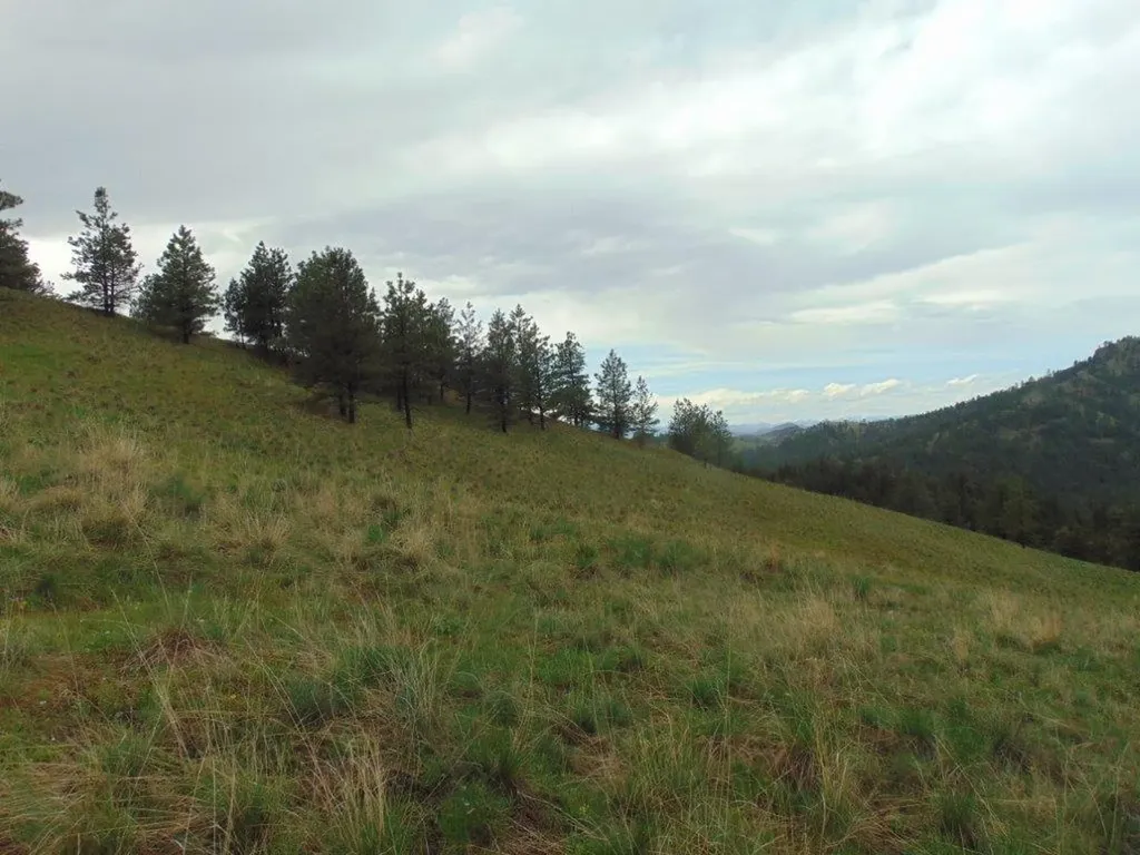 15 Shady Spring Lane Cascade MT 59421