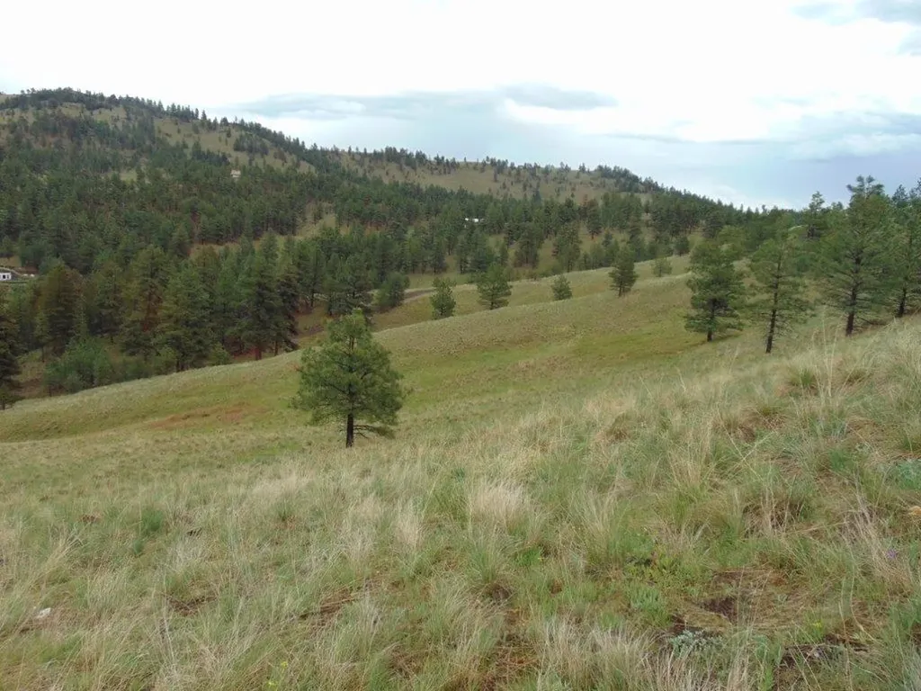 15 Shady Spring Lane Cascade MT 59421