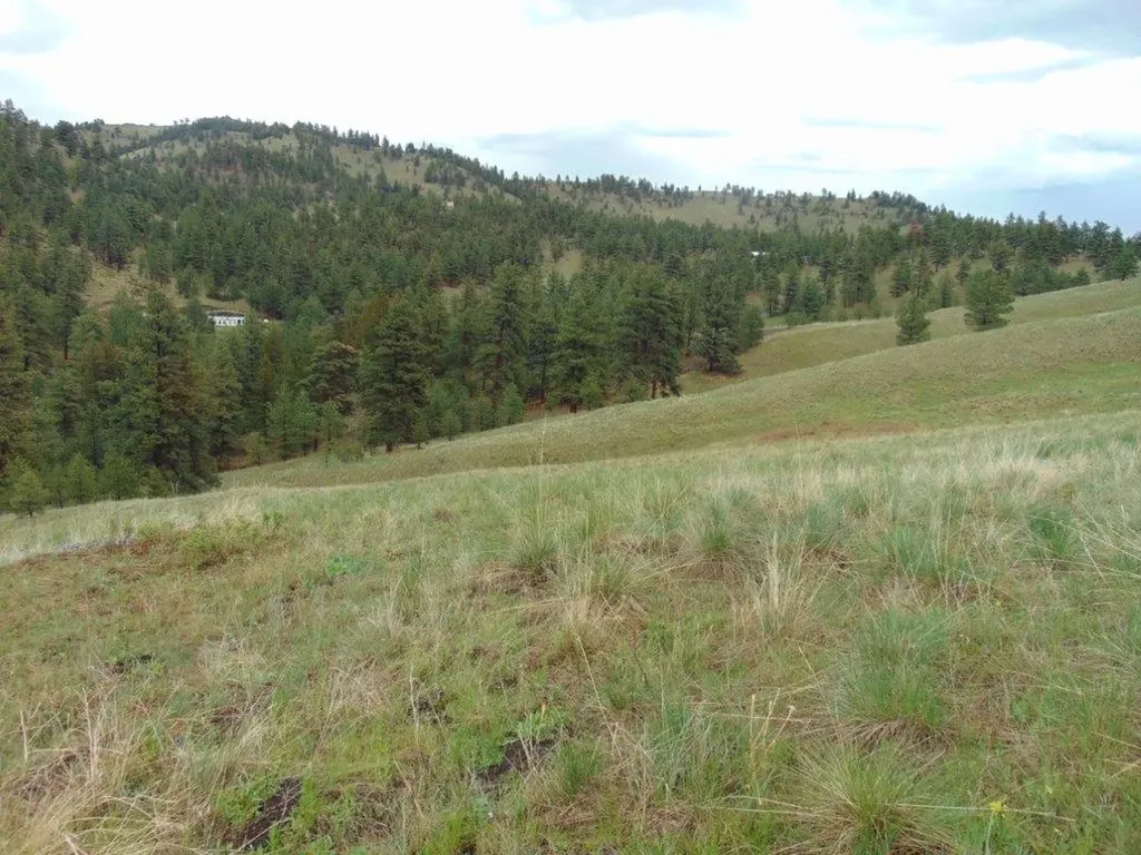 15 Shady Spring Lane Cascade MT 59421
