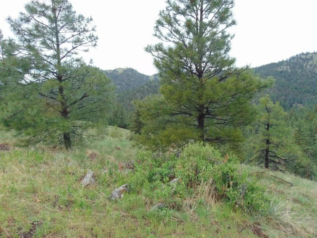 15 Shady Spring Lane Cascade MT 59421