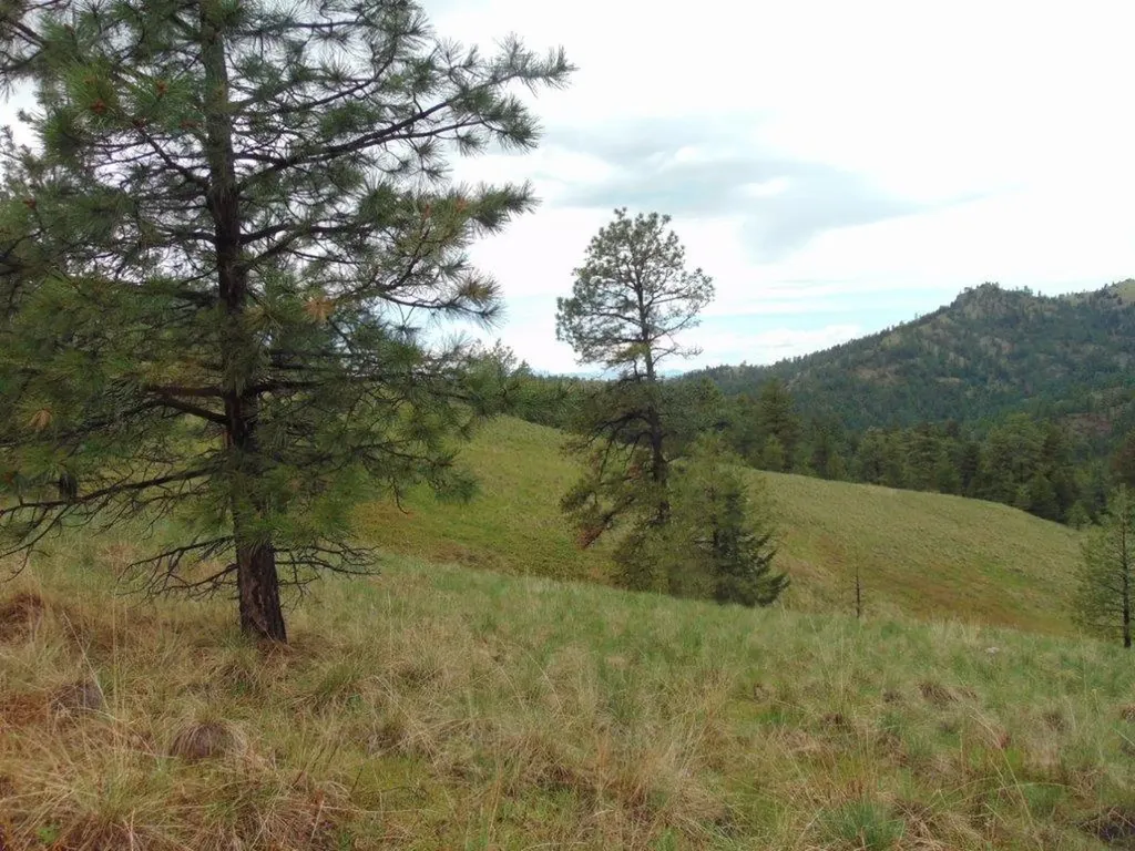 15 Shady Spring Lane Cascade MT 59421