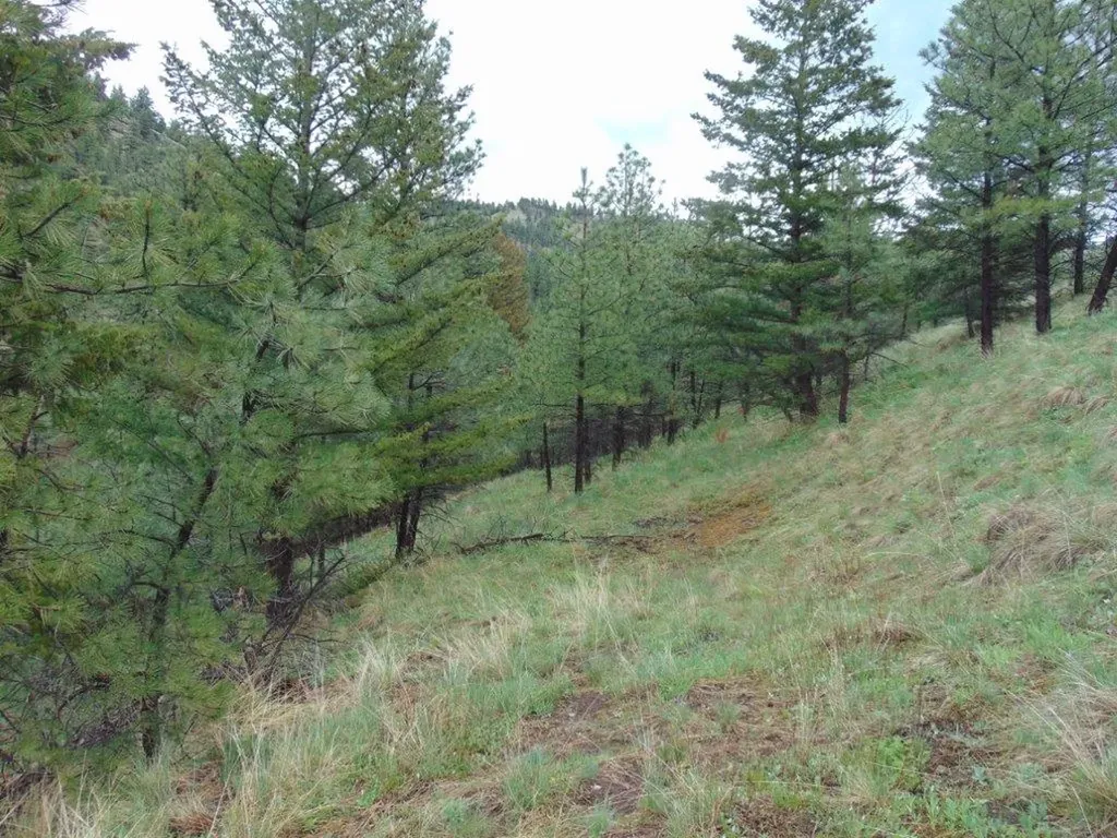 15 Shady Spring Lane Cascade MT 59421