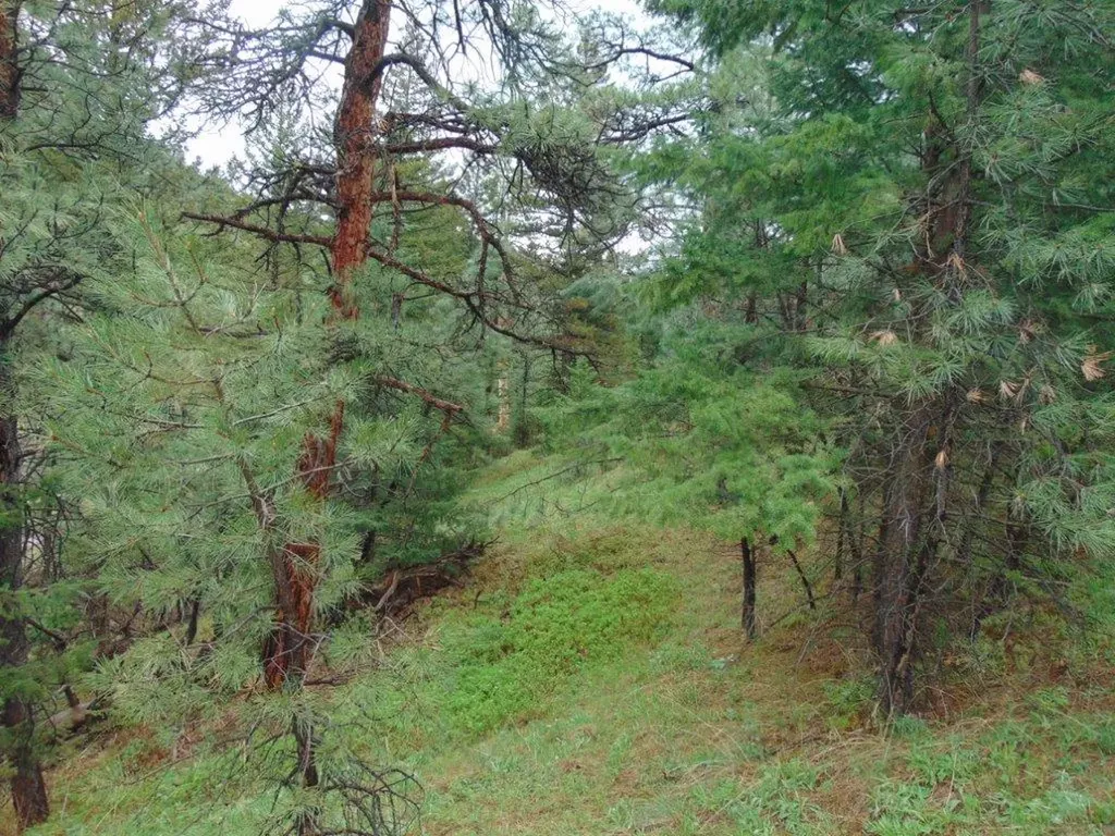 15 Shady Spring Lane Cascade MT 59421