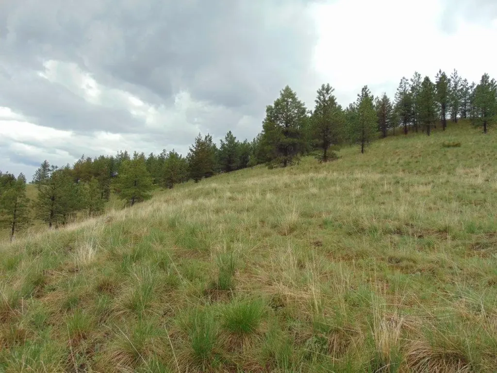 15 Shady Spring Lane Cascade MT 59421