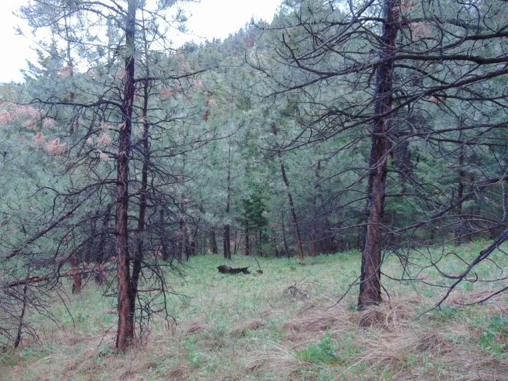 15 Shady Spring Lane Cascade MT 59421