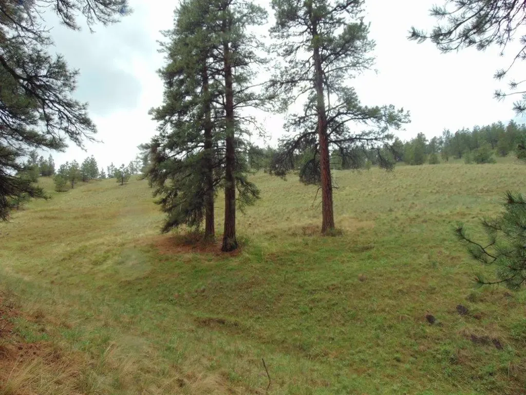 15 Shady Spring Lane Cascade MT 59421