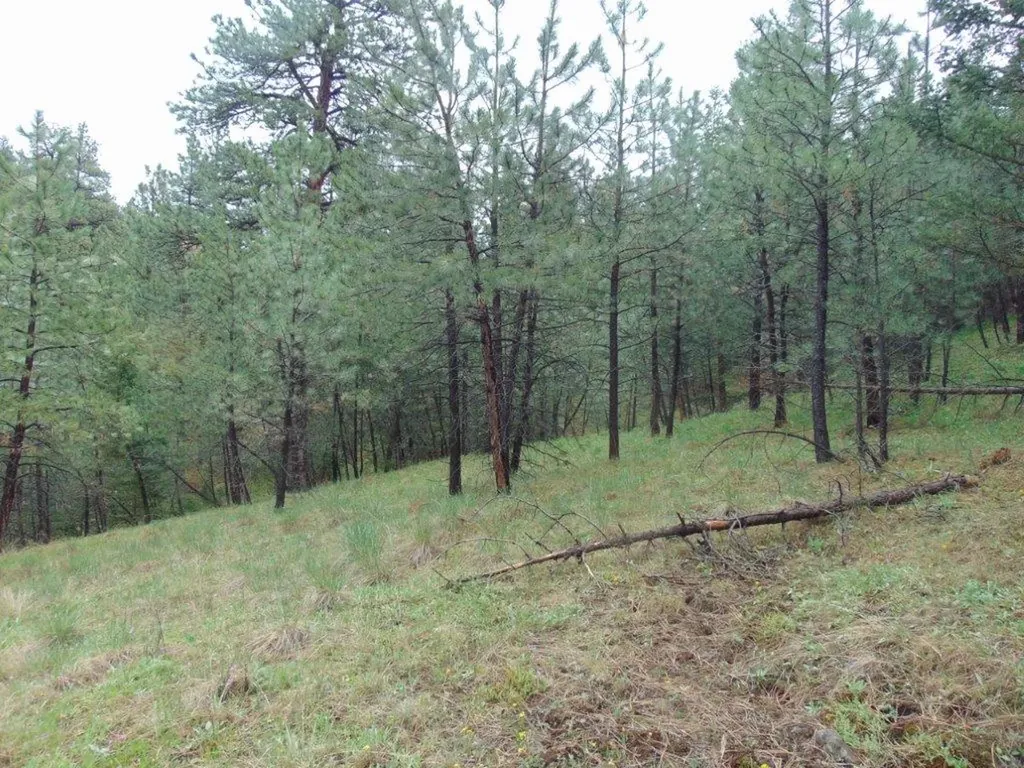 15 Shady Spring Lane Cascade MT 59421