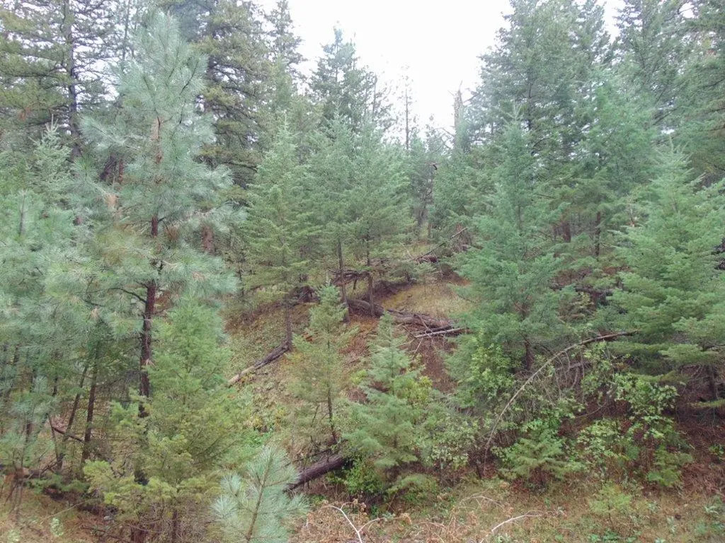 15 Shady Spring Lane Cascade MT 59421