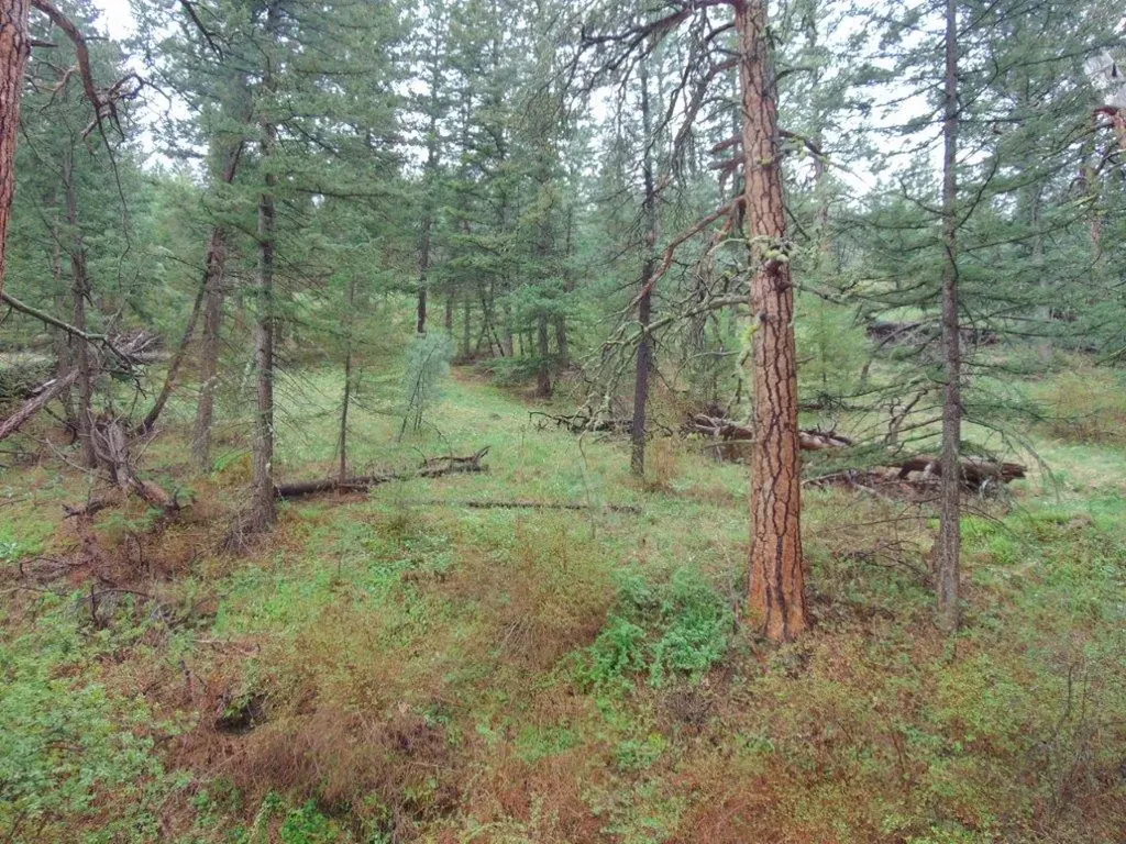 15 Shady Spring Lane Cascade MT 59421
