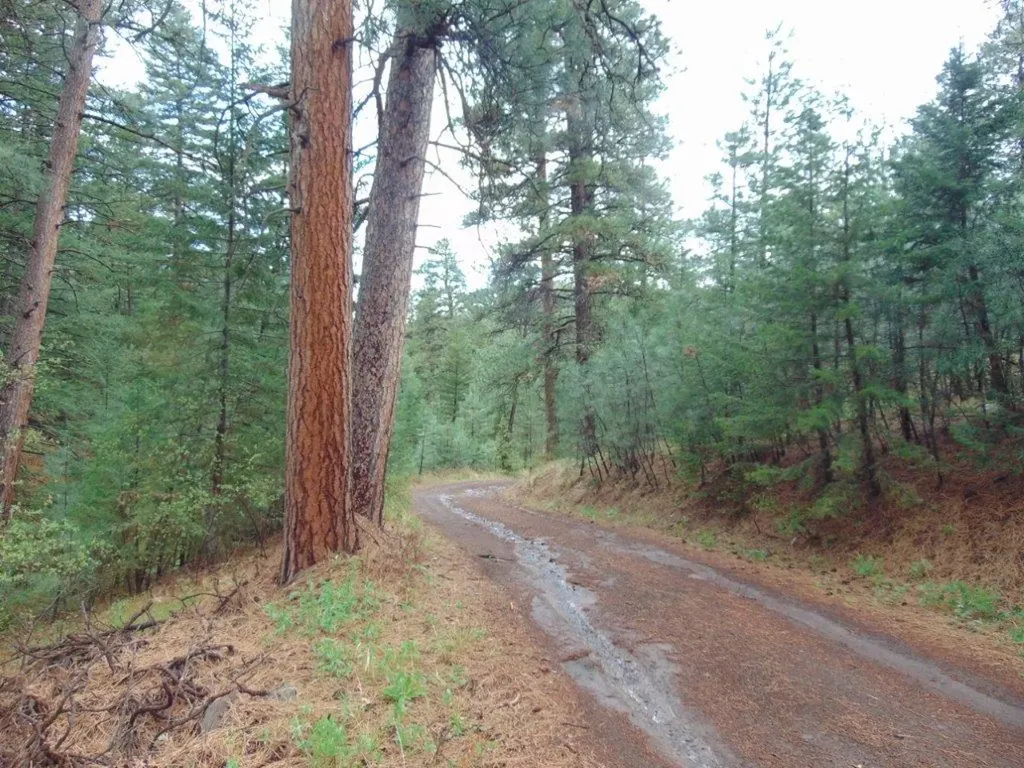 15 Shady Spring Lane Cascade MT 59421