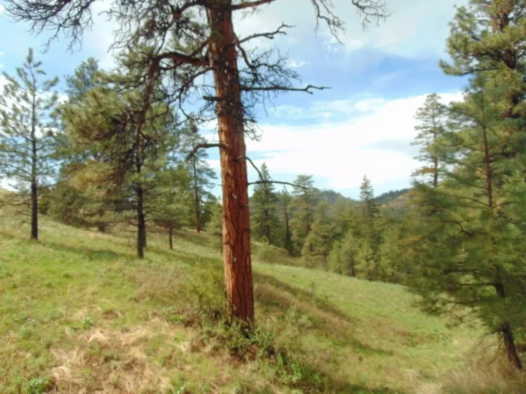 15 Shady Spring Lane Cascade MT 59421