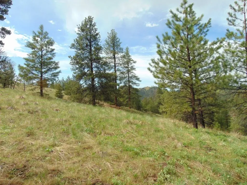 15 Shady Spring Lane Cascade MT 59421