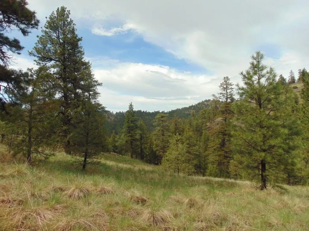 15 Shady Spring Lane Cascade MT 59421
