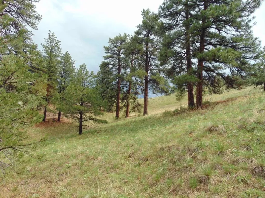 15 Shady Spring Lane Cascade MT 59421