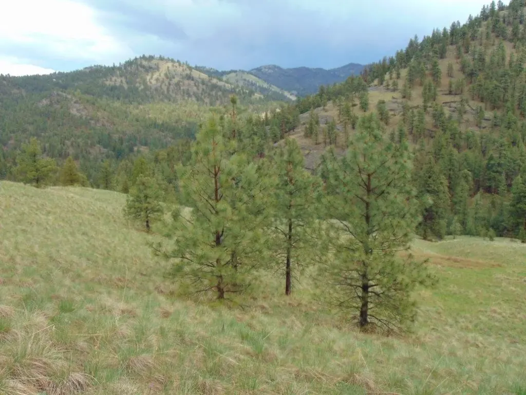 15 Shady Spring Lane Cascade MT 59421