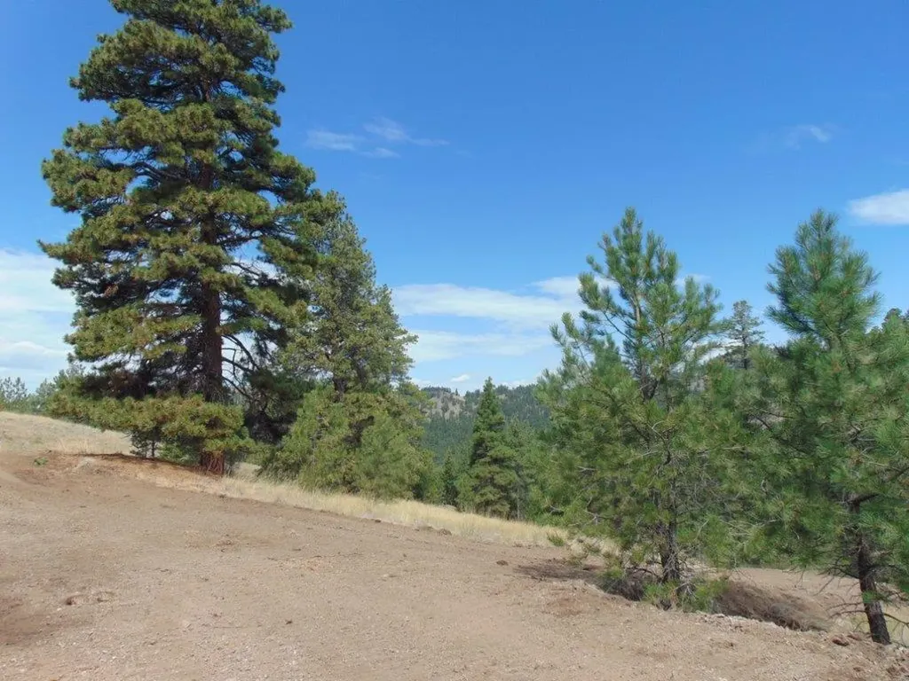 15 Shady Spring Lane Cascade MT 59421