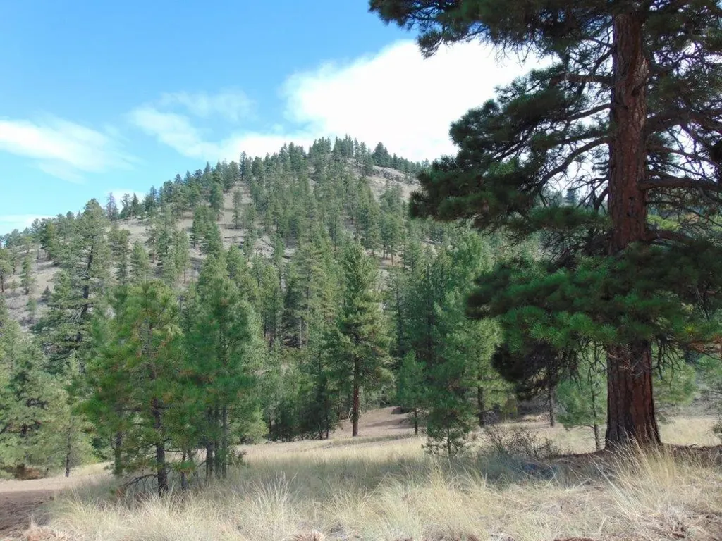 15 Shady Spring Lane Cascade MT 59421