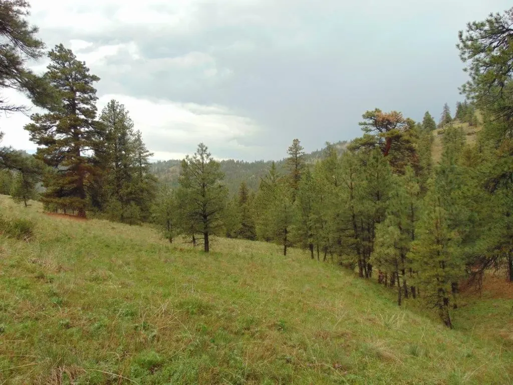 15 Shady Spring Lane Cascade MT 59421