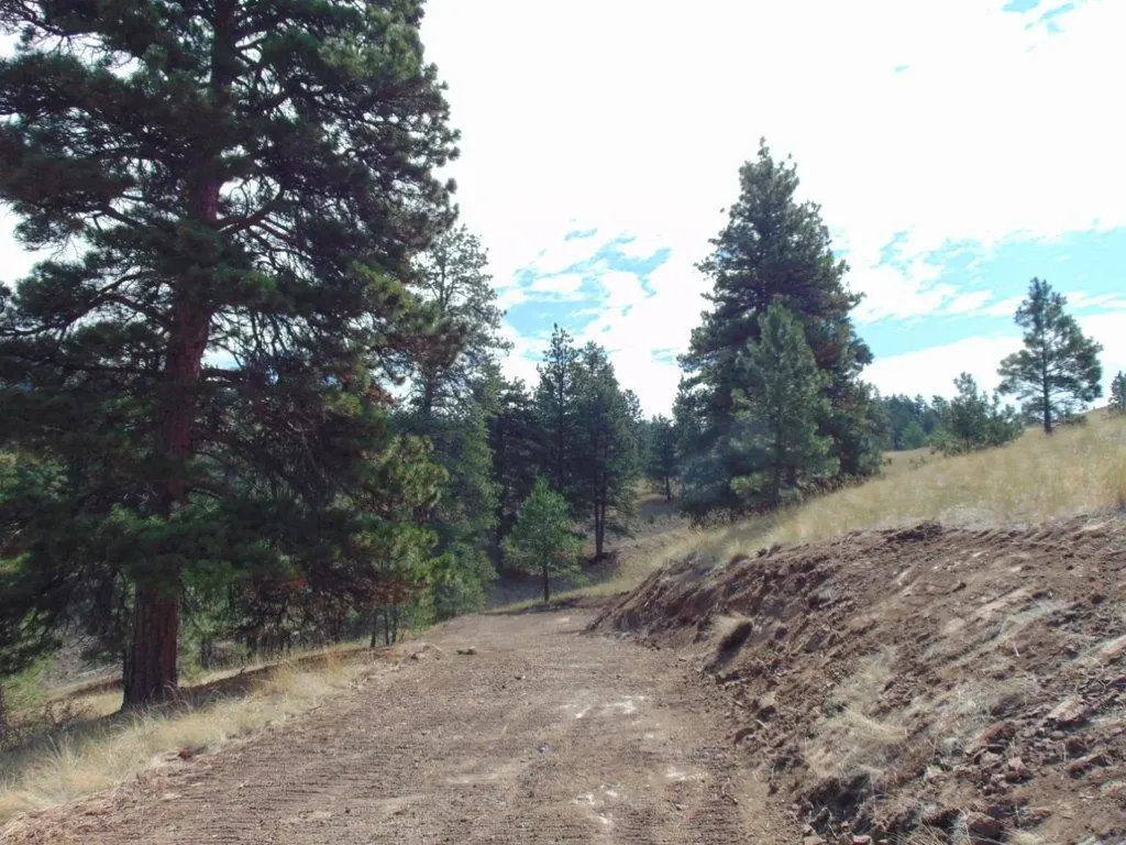 15 Shady Spring Lane Cascade MT 59421