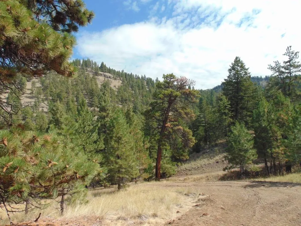 15 Shady Spring Lane Cascade MT 59421