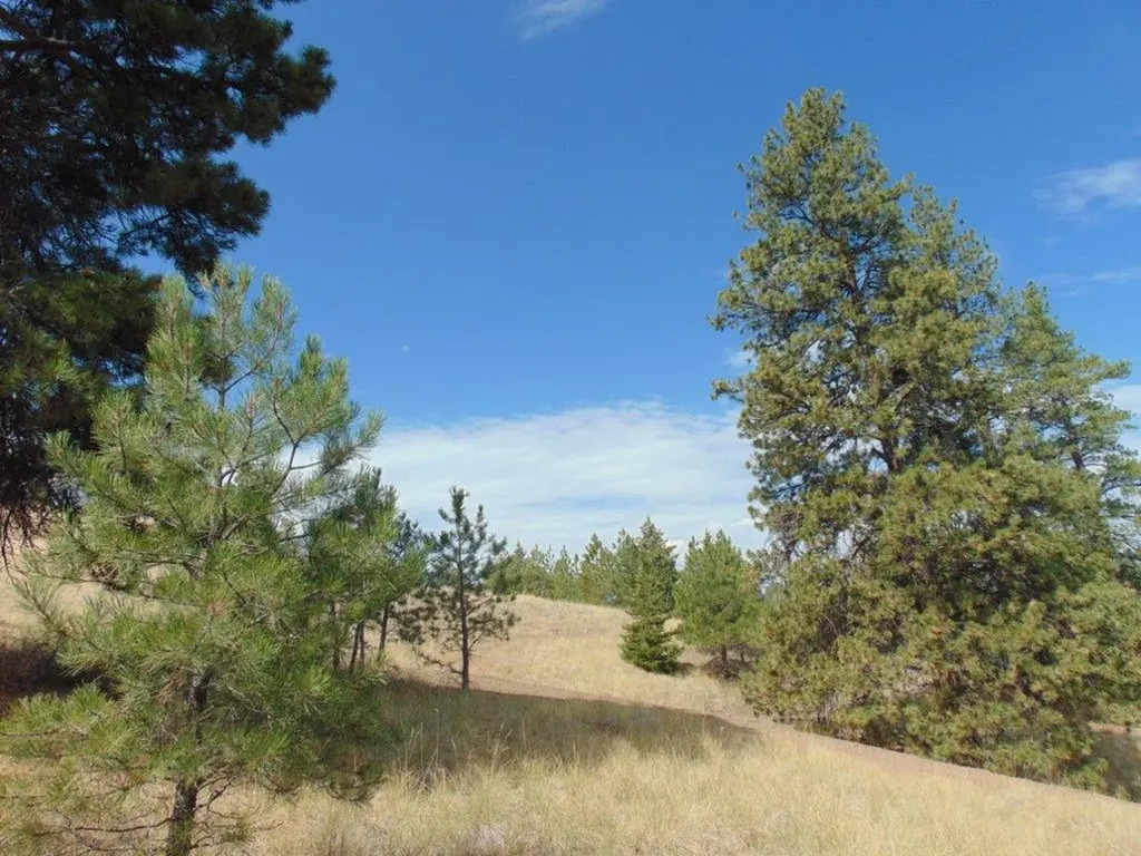 15 Shady Spring Lane Cascade MT 59421